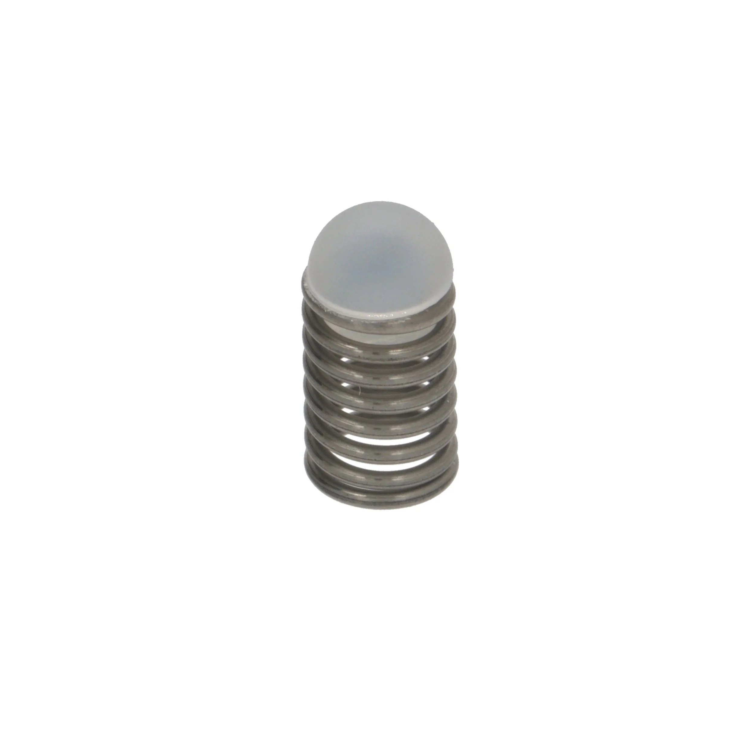 DeLonghi Valve Gasket & Spring